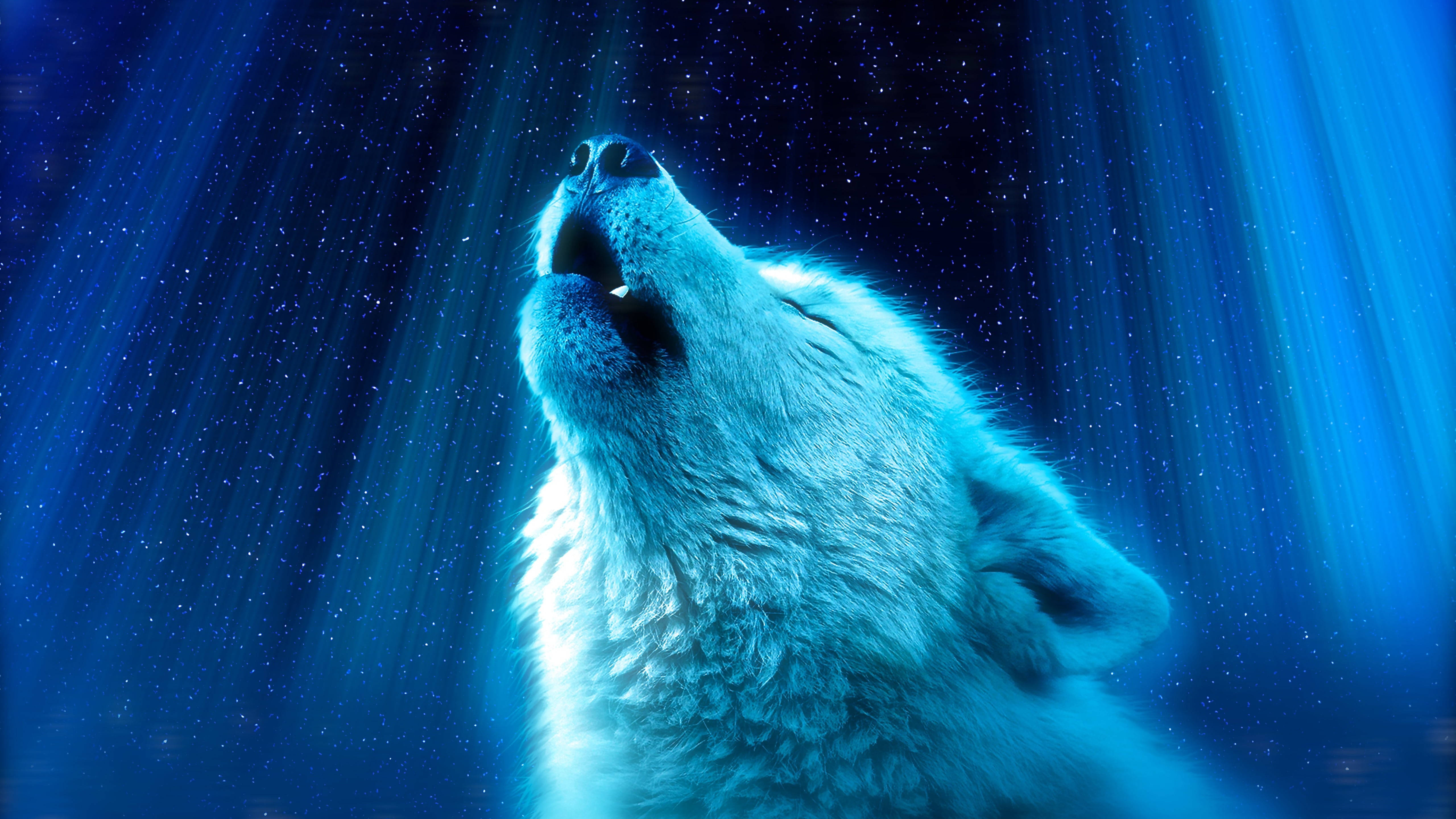 Anime Wolf Howling Blue Aesthetic Lights Wallpaper