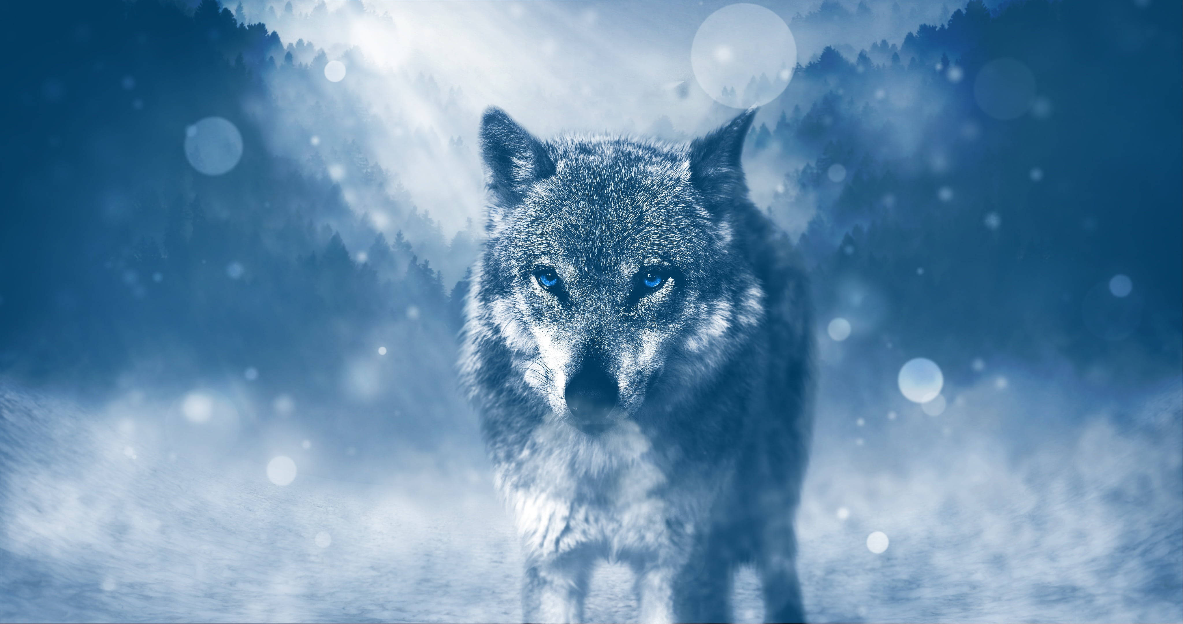 Anime Wolf In Snow Wallpaper