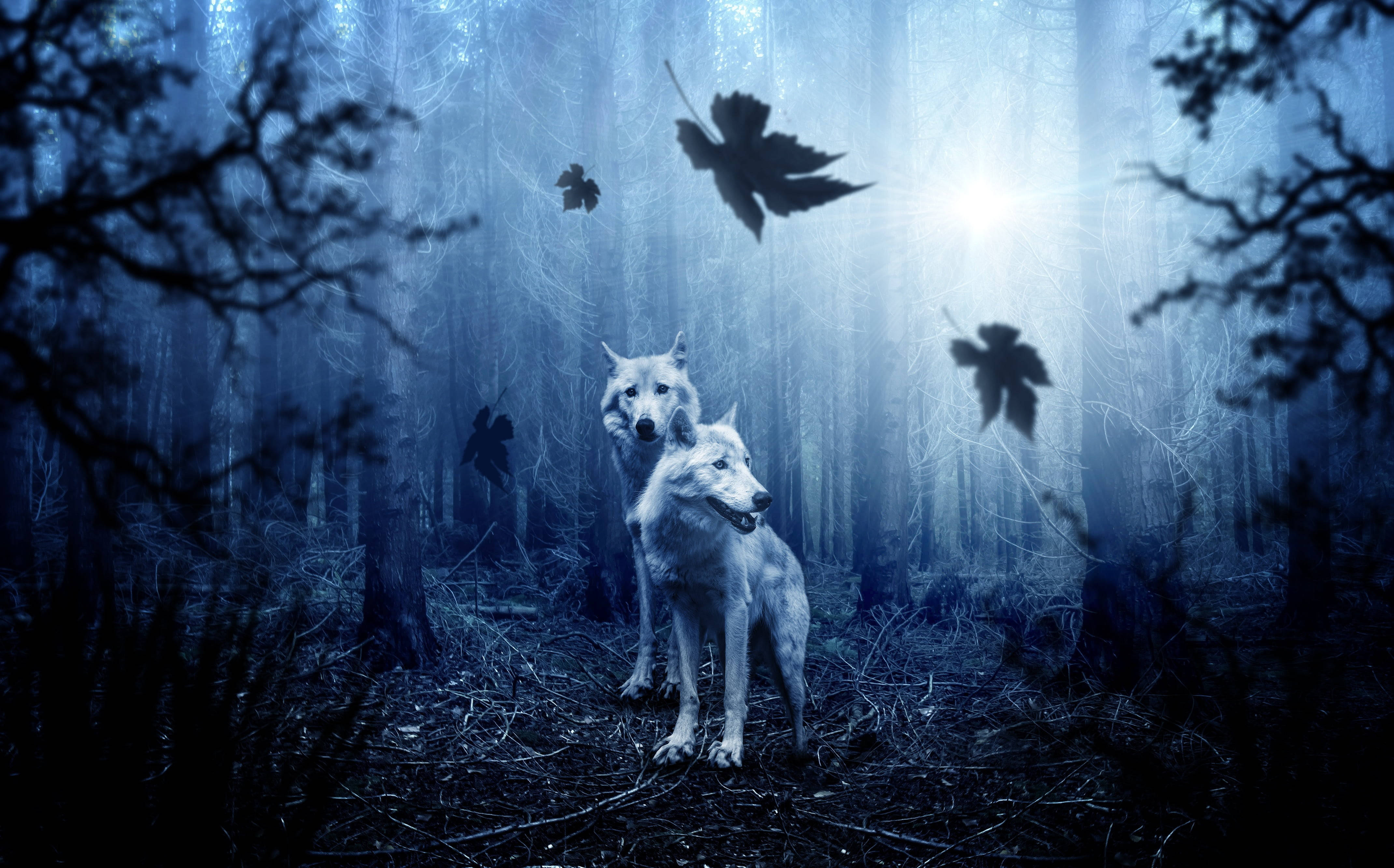 Anime Wolf In Spooky Forest Wallpaper