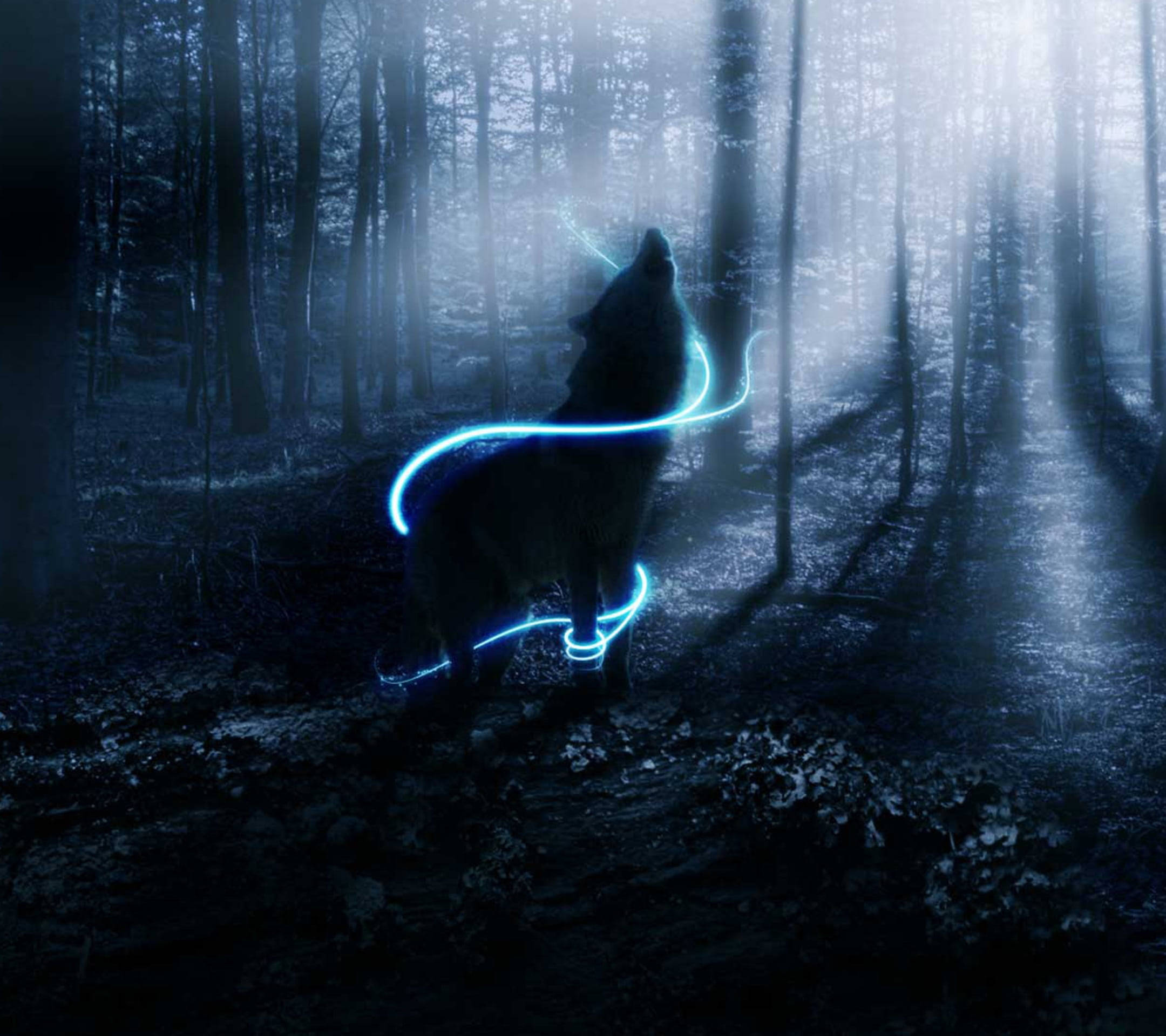 Anime Wolf Neon Blue Light Tendrils In Forest Wallpaper