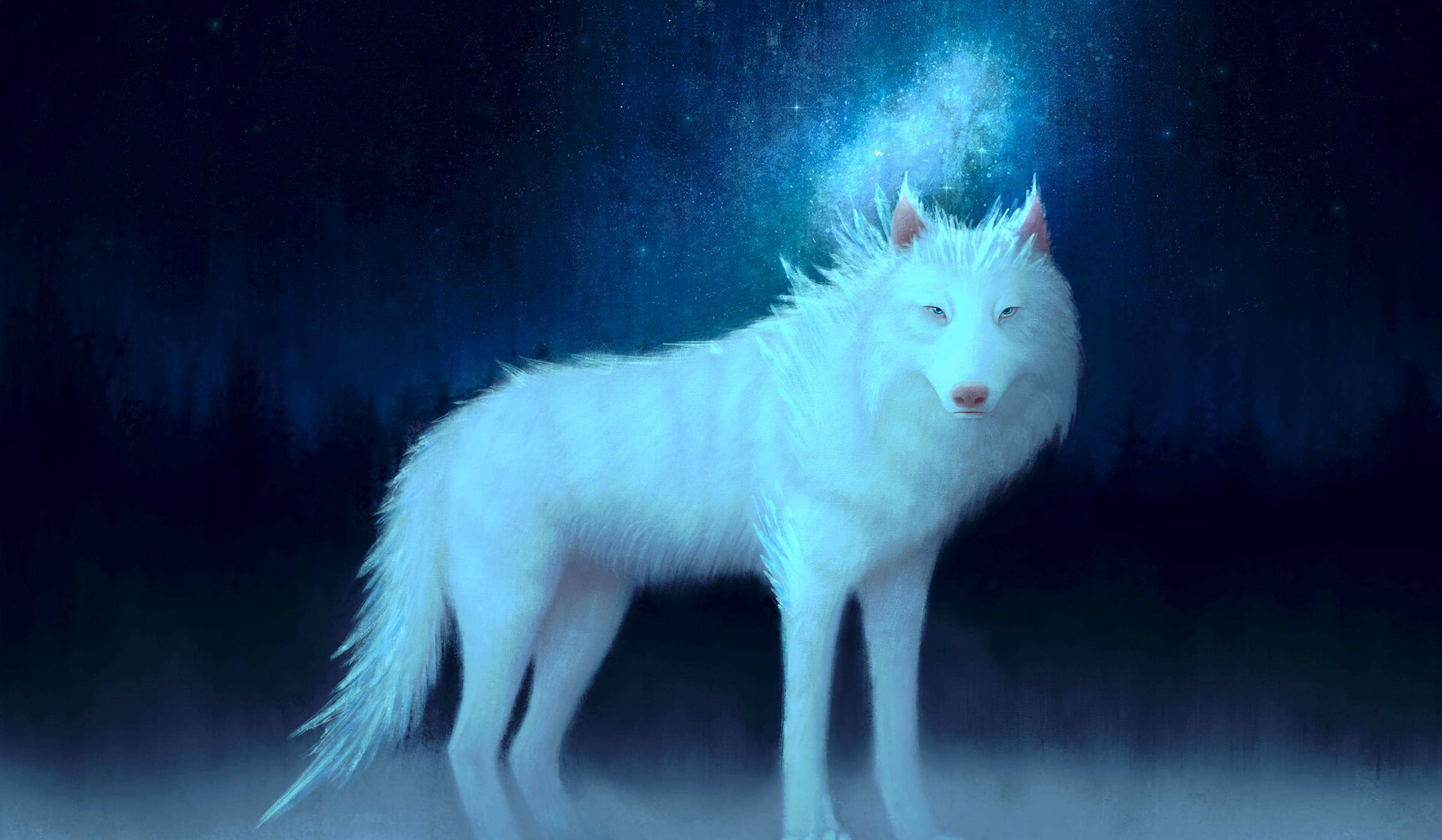Anime Wolf Painting Glowing Stars Wallpaper
