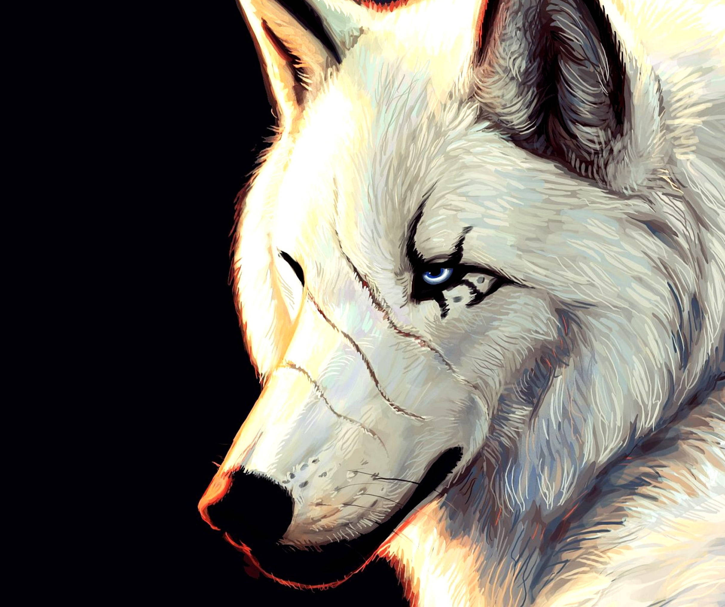 Download Anime Wolf White Aesthetic With Scars Wallpaper 