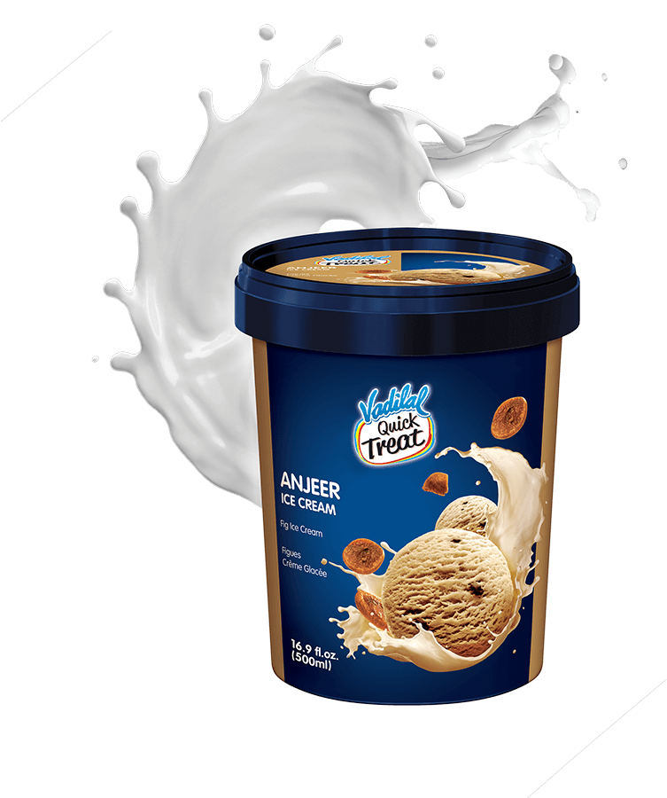 Anjeer Ice Cream Container Splash PNG