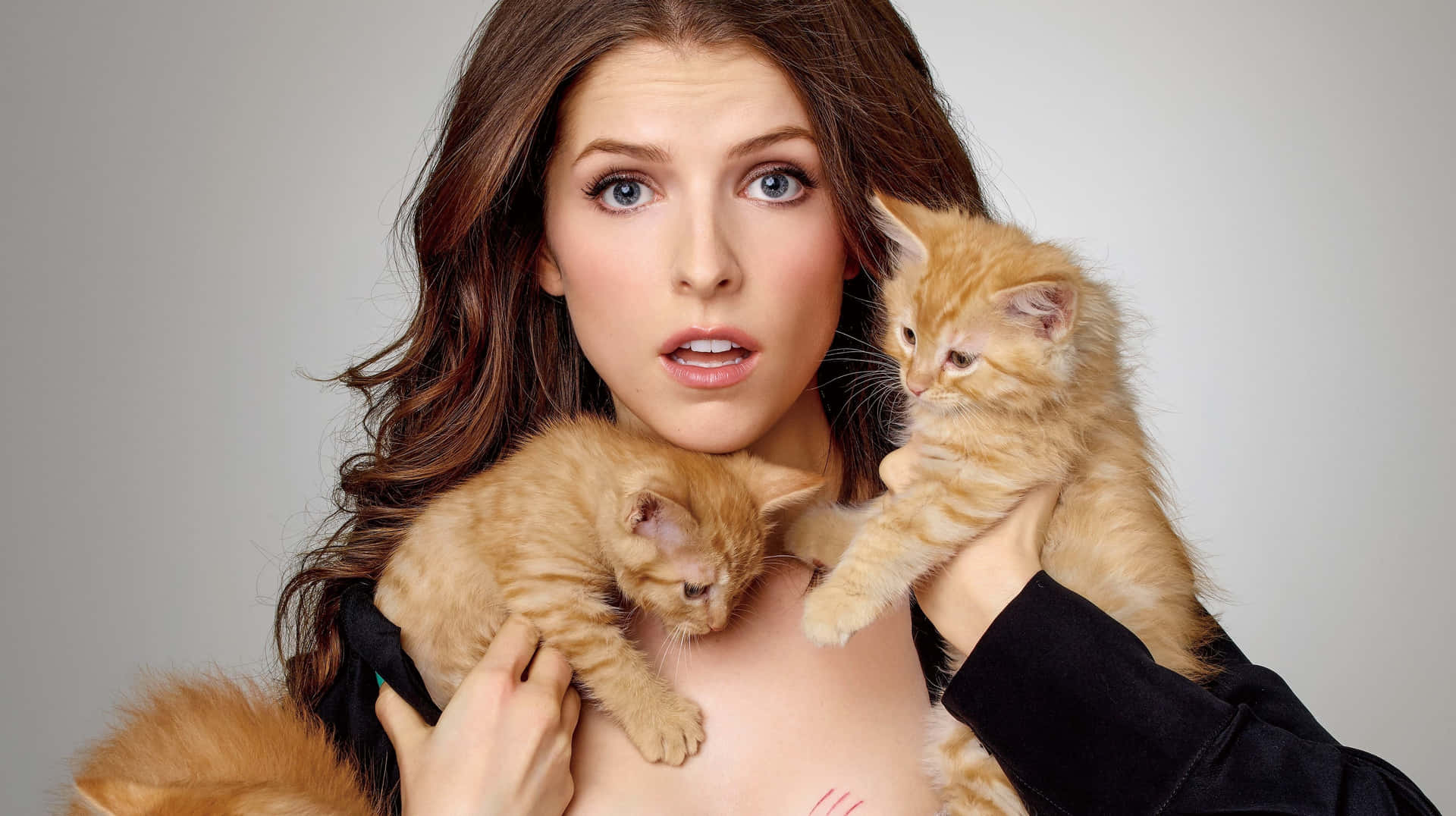 Anna Kendrick Holding Cute Kittens Wallpaper