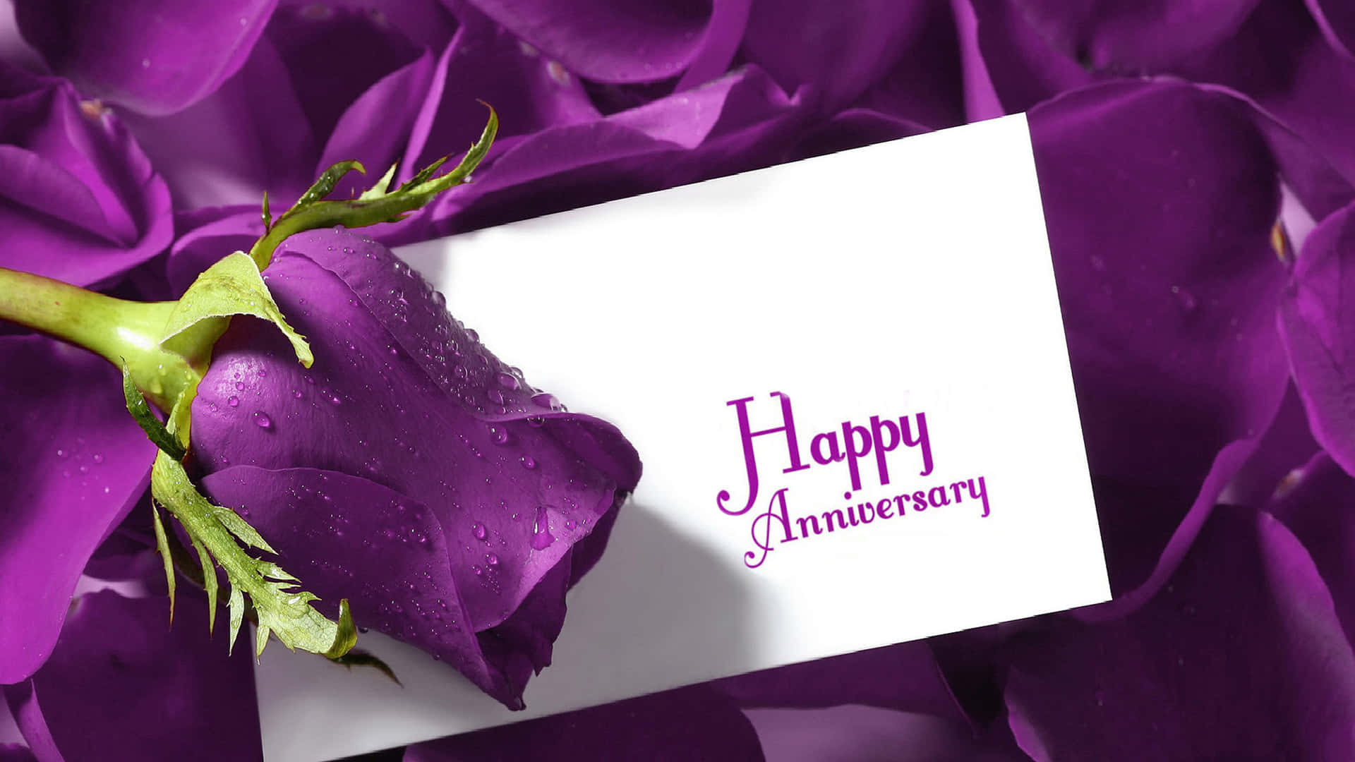 Celebrate Your Special Anniversary with Love