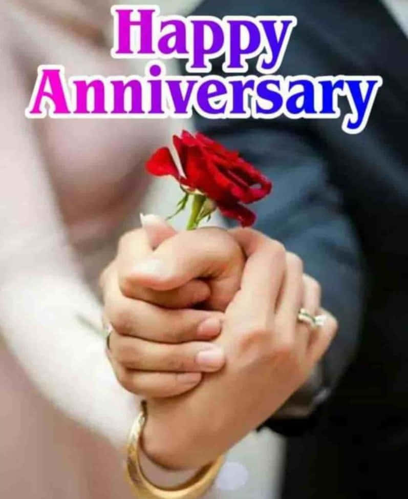 Anniversary Couple Holding A Rose Wallpaper