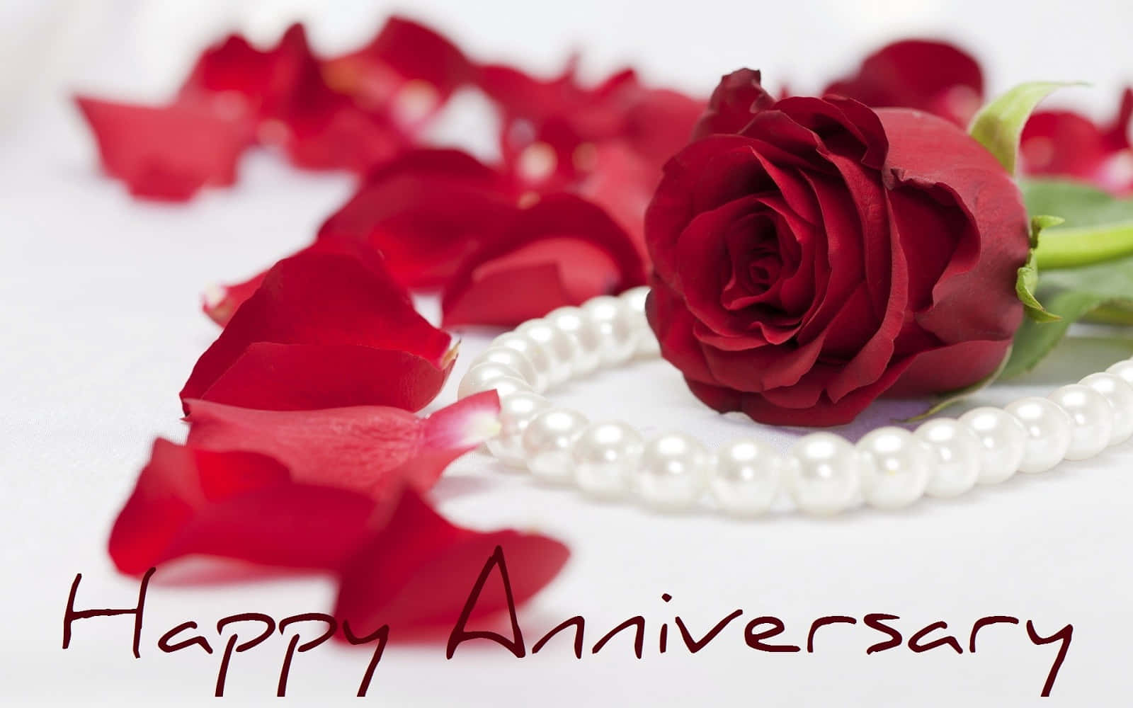Caption: Elegant Pearl Necklace Adorning a Red Rose on a Romantic Anniversary Wallpaper