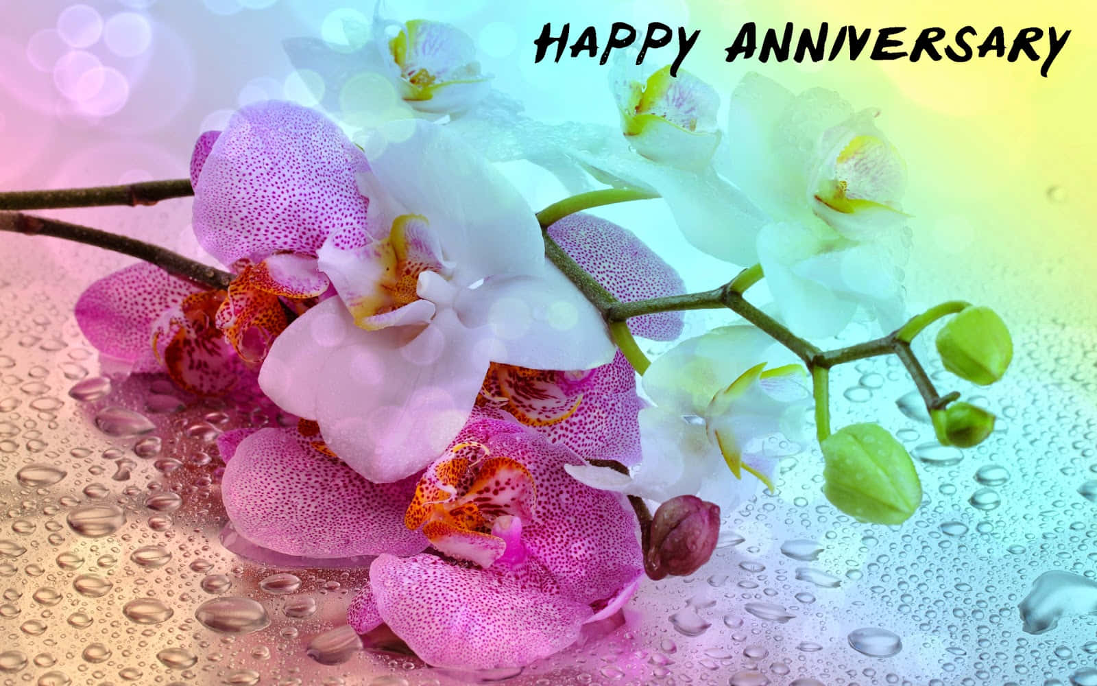 Fröhlicherjahrestag Mit Orchideenblumenbild