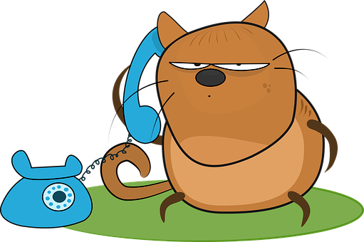 Annoyed Cartoon Cat With Phone PNG