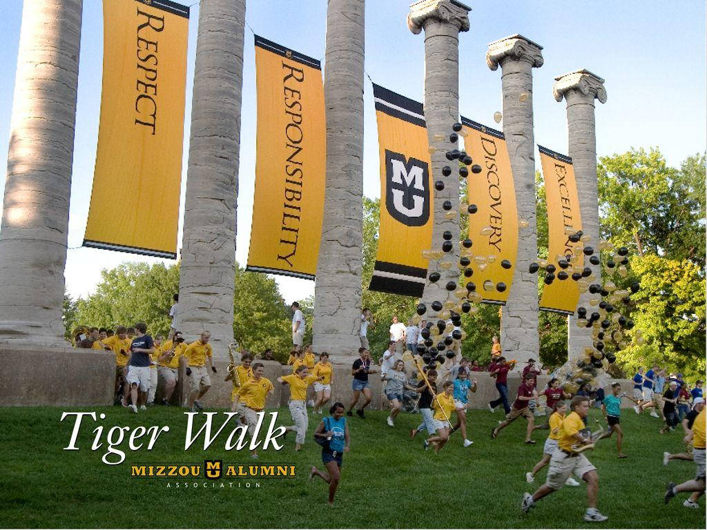 Annual Tiger Walk University Of Missouri Official Entry Wallpaper