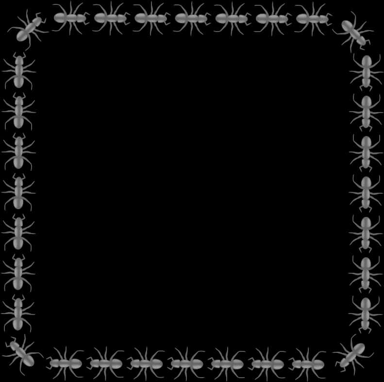 Ant Decorated Black Border PNG