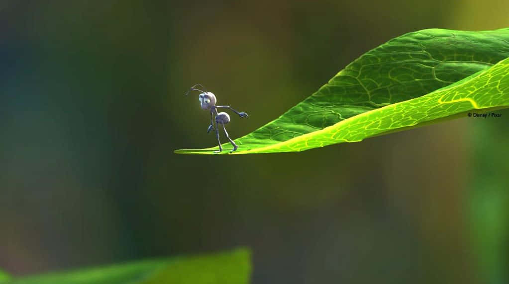 Ant In Leaf A Bugs Life Wallpaper