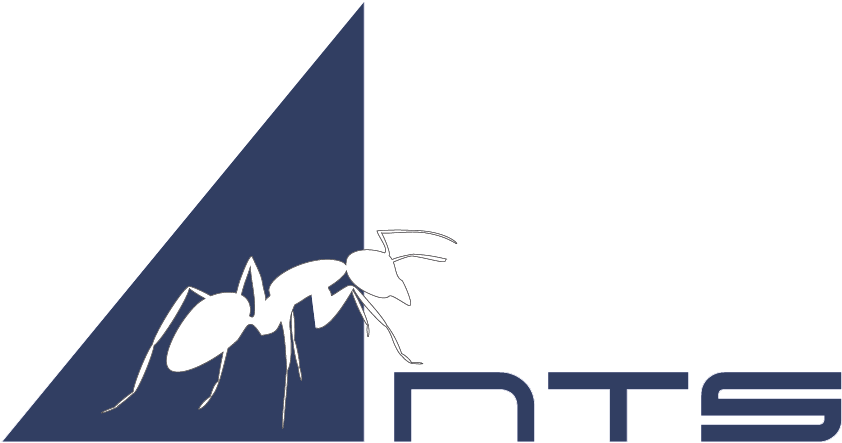 Ant Logo Graphic Design PNG