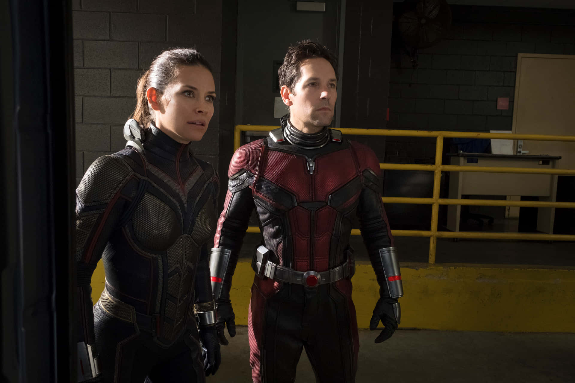 Ant Man And The Wasp Wallpaper