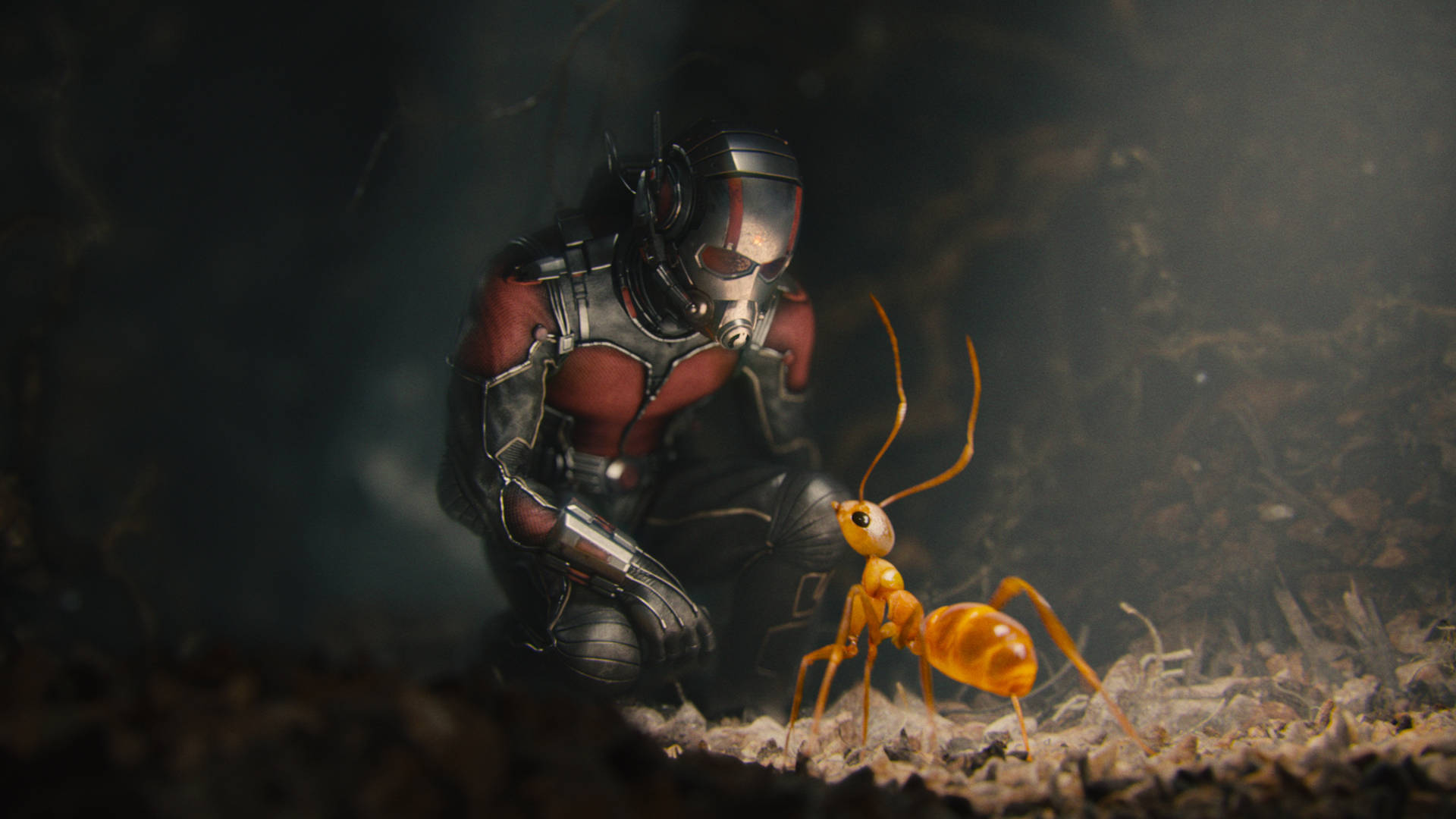 Ant Man Superhelt Og Baby Myrer Fløde Baggrund Wallpaper