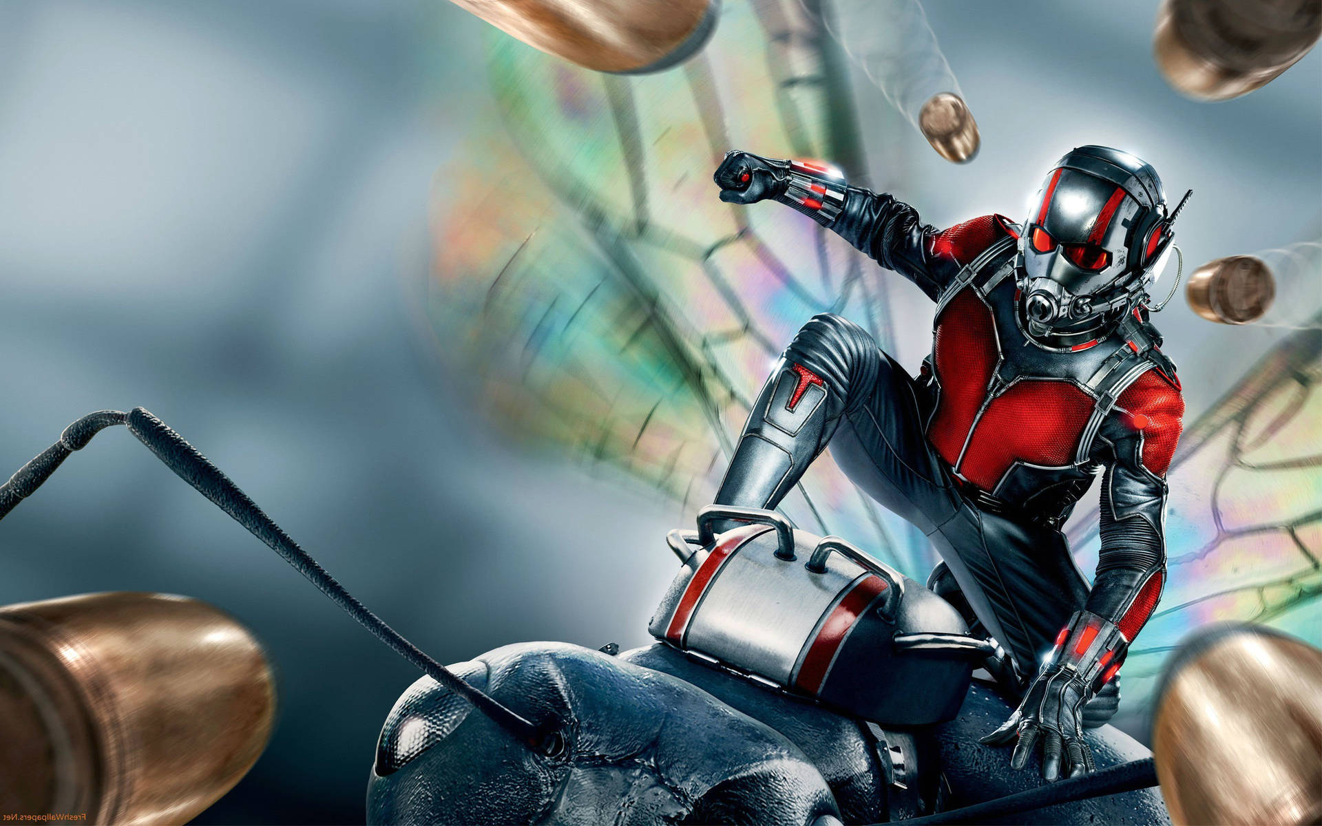 Ant Man Superhero With Bullet Wallpaper