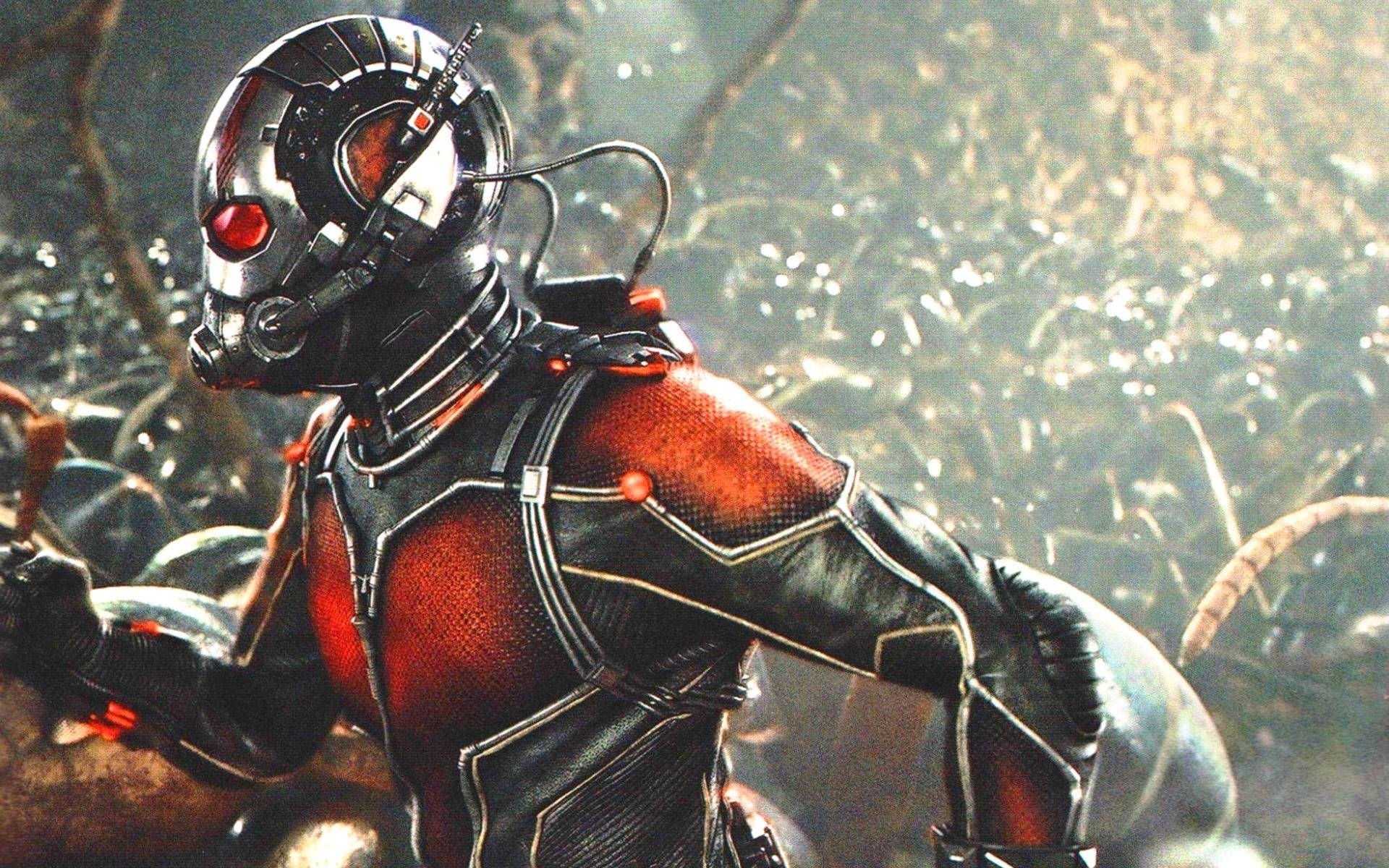 Ant Man Superhero With Heap Of Ant Wallpaper