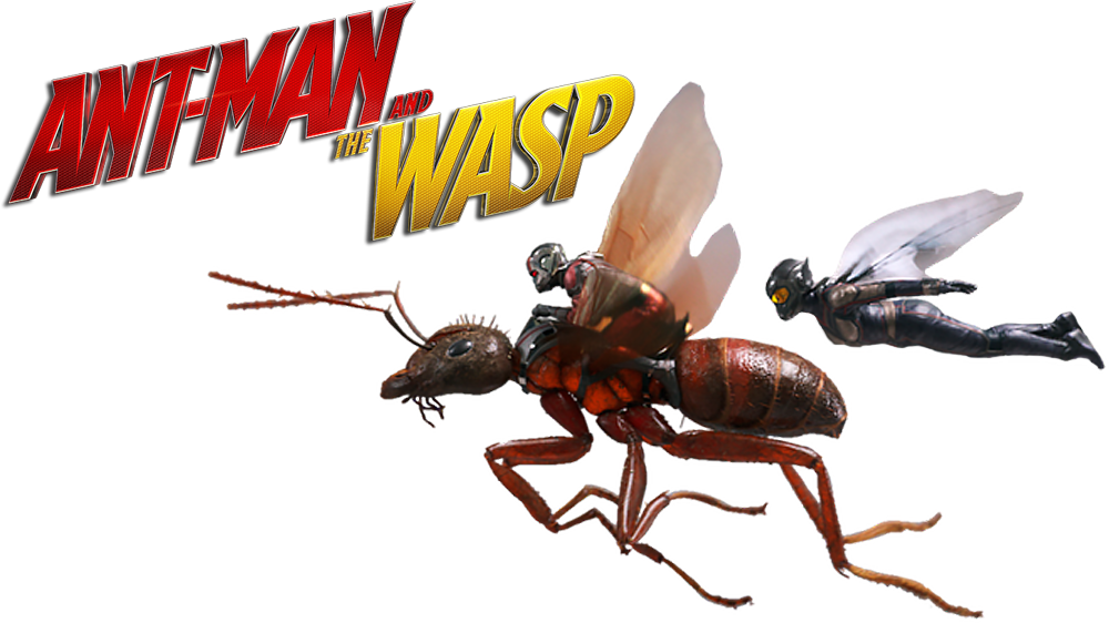 Ant Man_and_ The Wasp_ Promo_ Art PNG