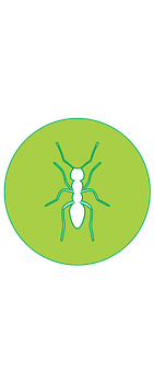 Ant Silhouette Icon PNG