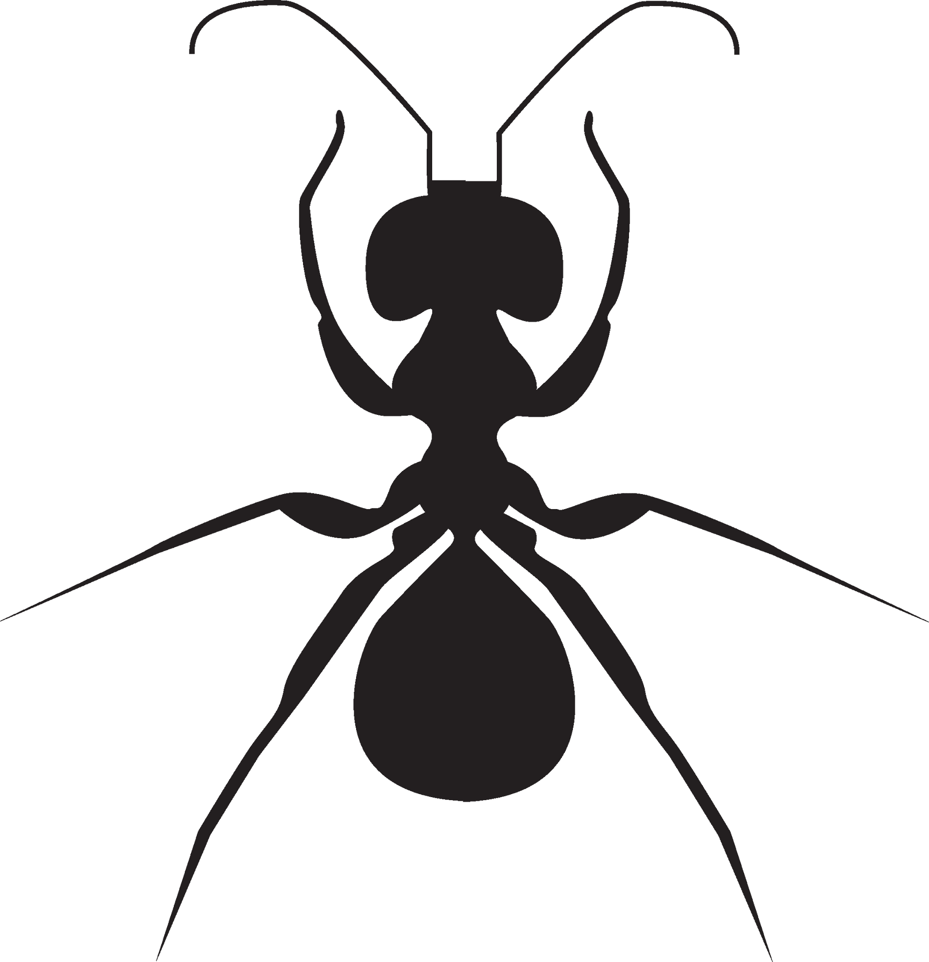 Ant_ Silhouette_ Vector_ Graphic PNG
