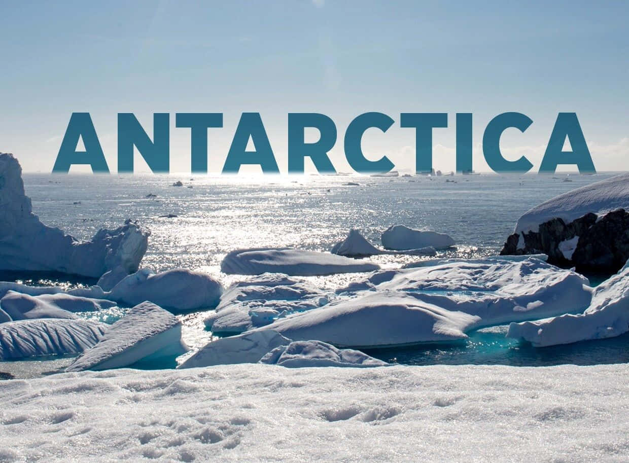 Antarctica Is A Large Island With Icebergs And Water