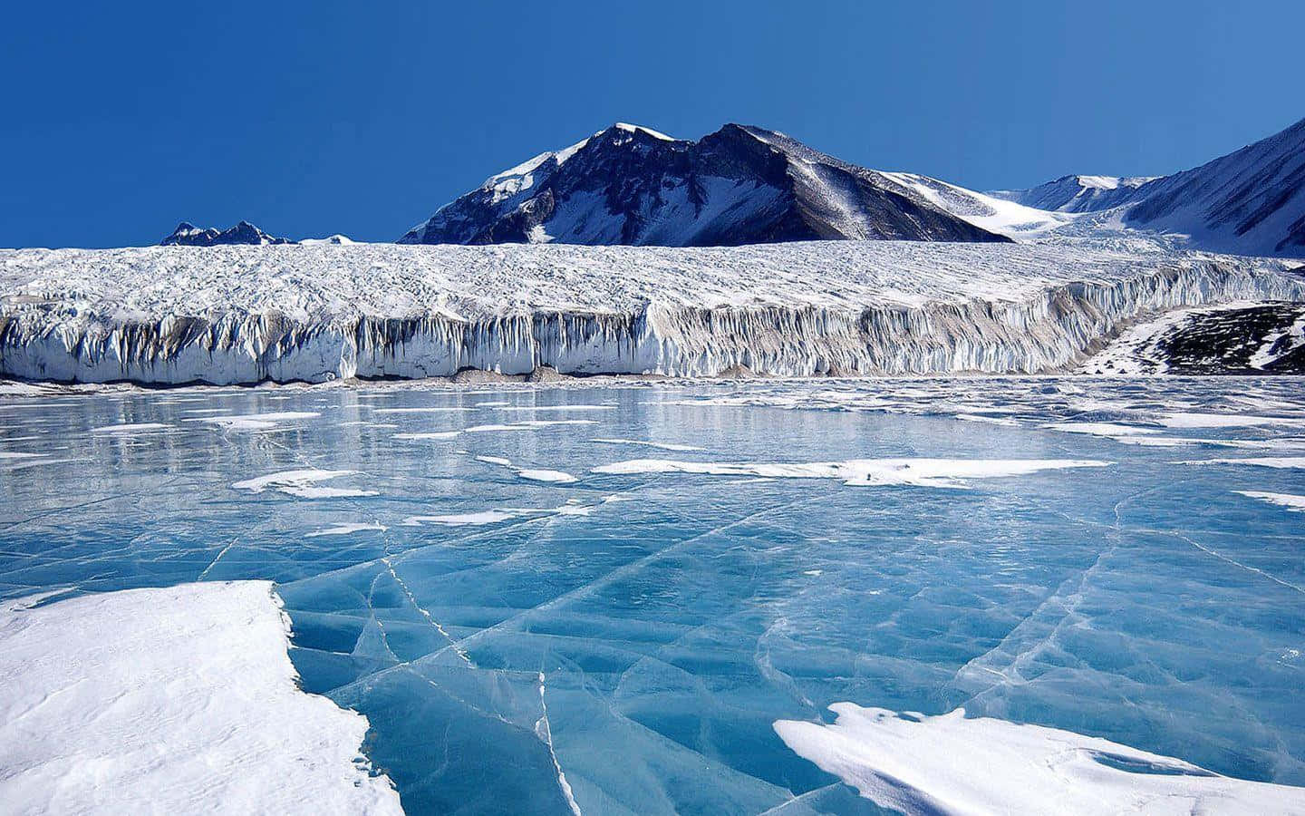 Labellezza E La Serenità Dell'antartide