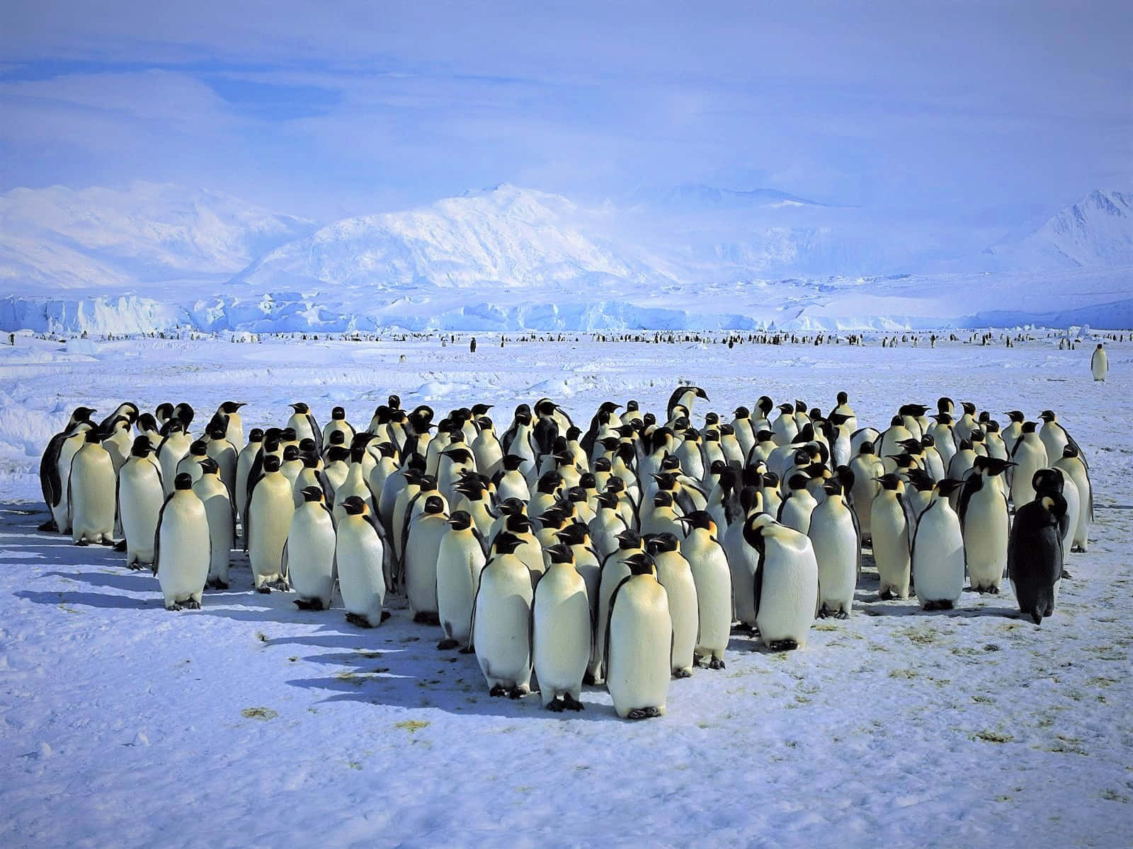 The Wonders of Antarctica