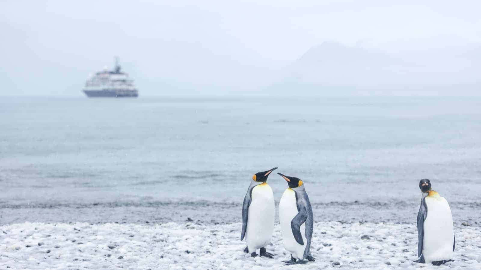 Oplevden Fantastiske Skønhed I Antarktis.