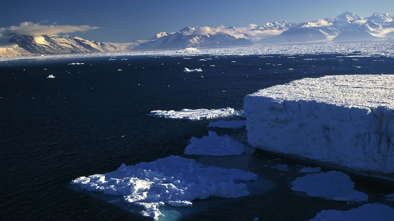 Kajakpaddlingnära En Glaciärvägg I Antarktis