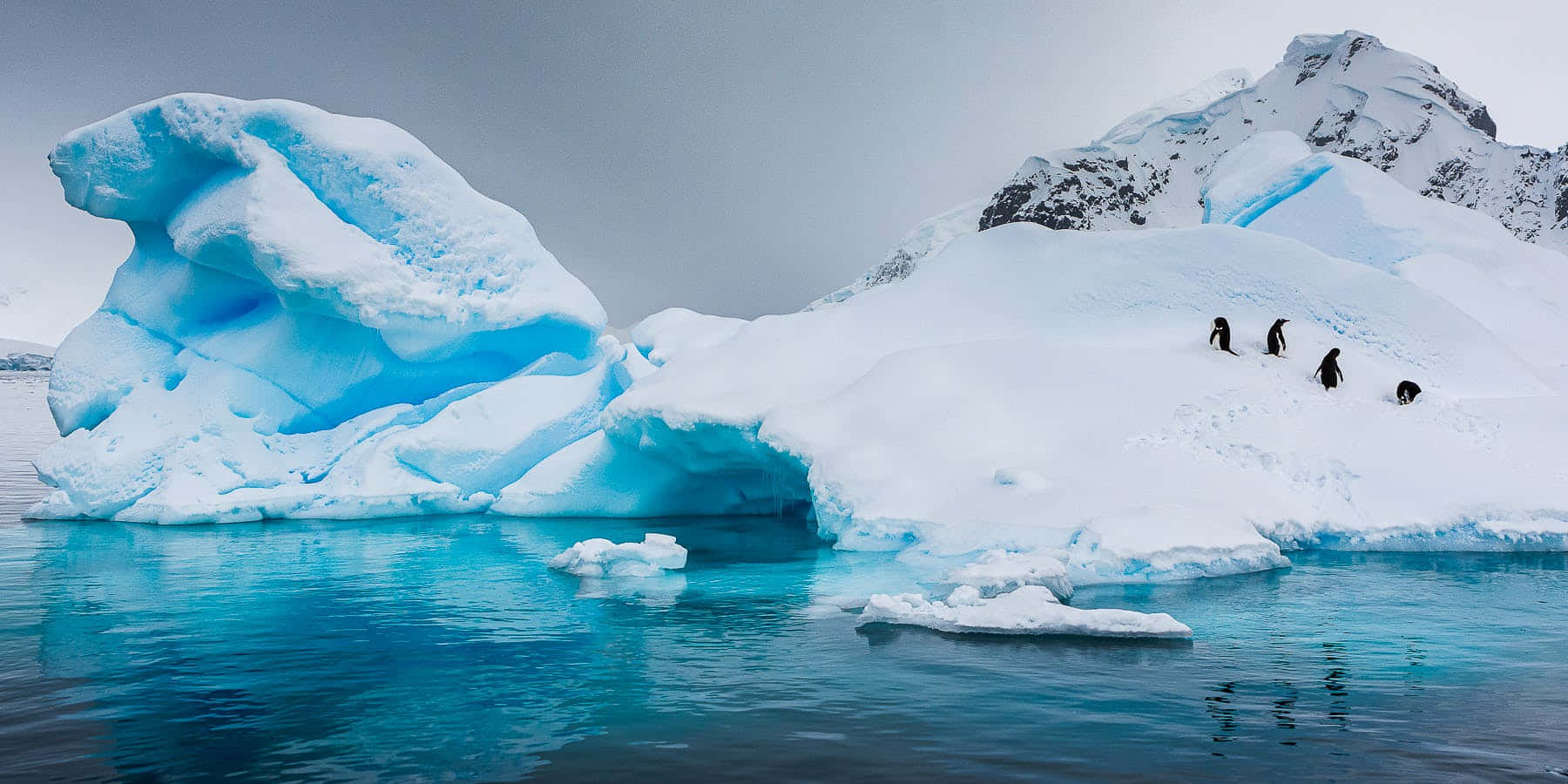 Etfredeligt Vinterscene I Antarktis