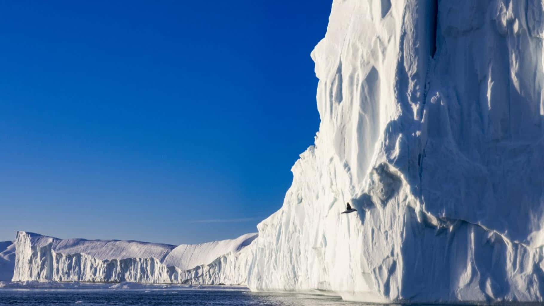 Dramatiskoch Vacker Landskap I Antarktis