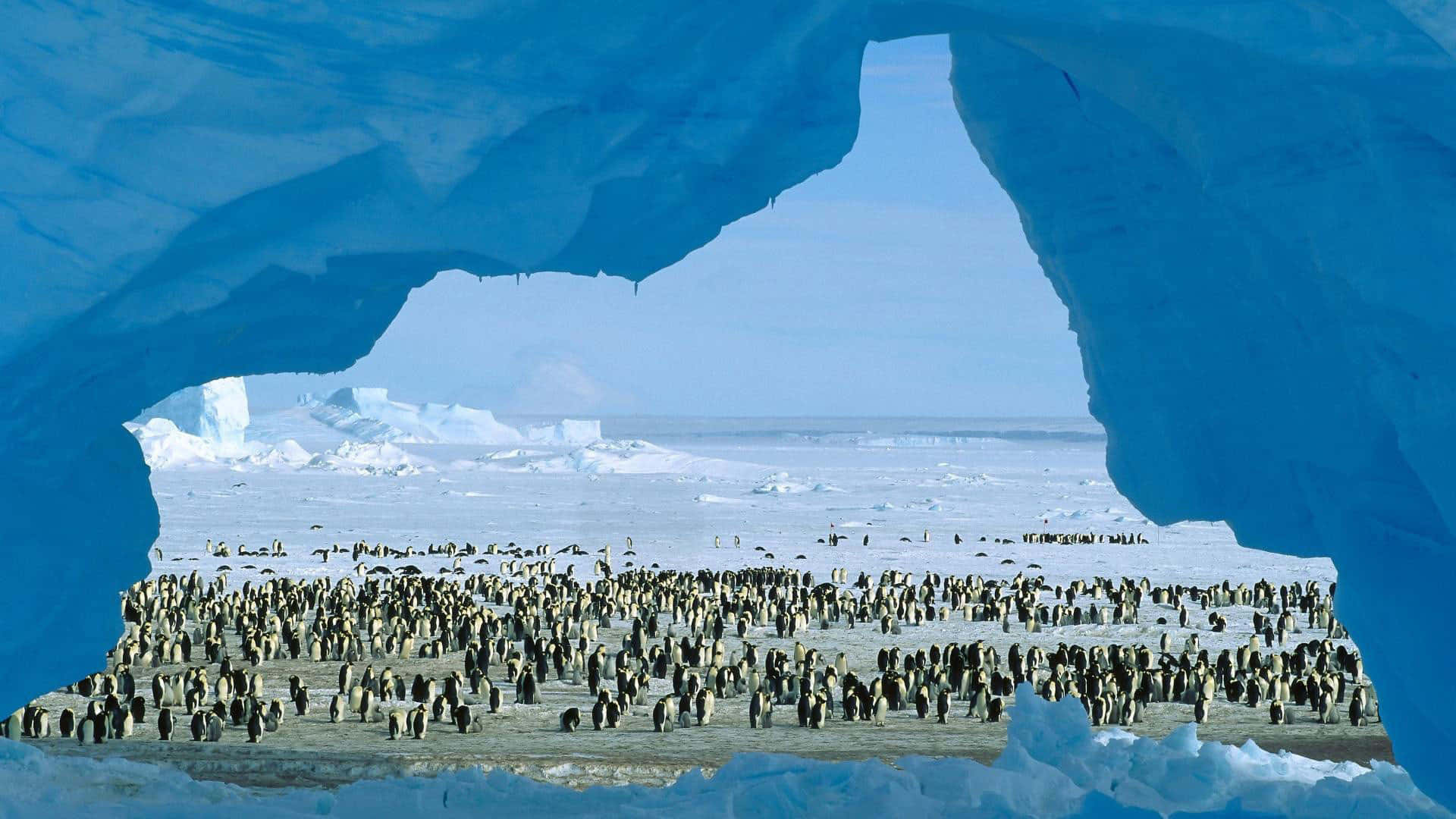 Trædind I En Verden Af Is Og Ensomhed Ved Sydpolen I Antarktis.
