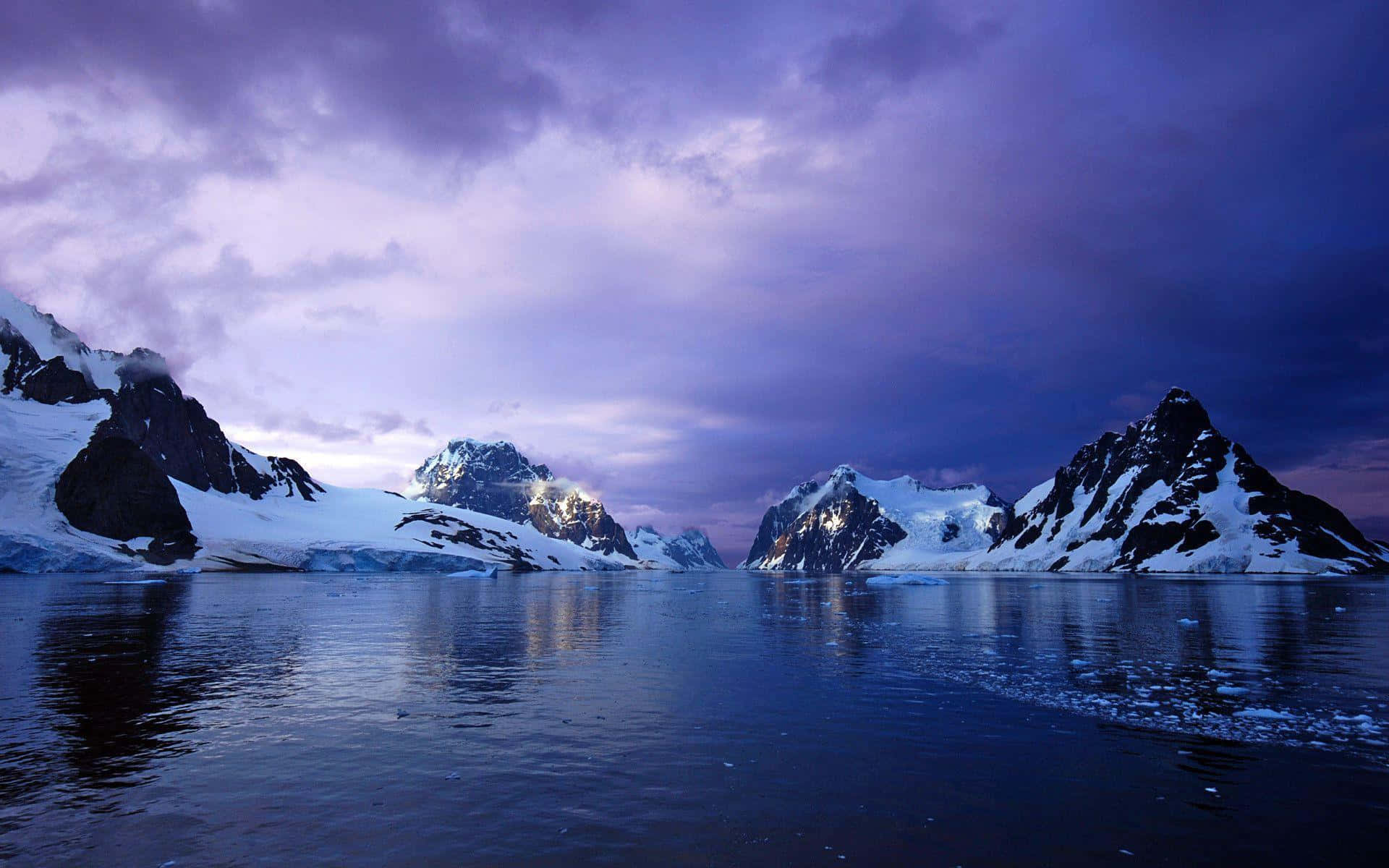 Enfantastisk Utsikt Över Antarktis