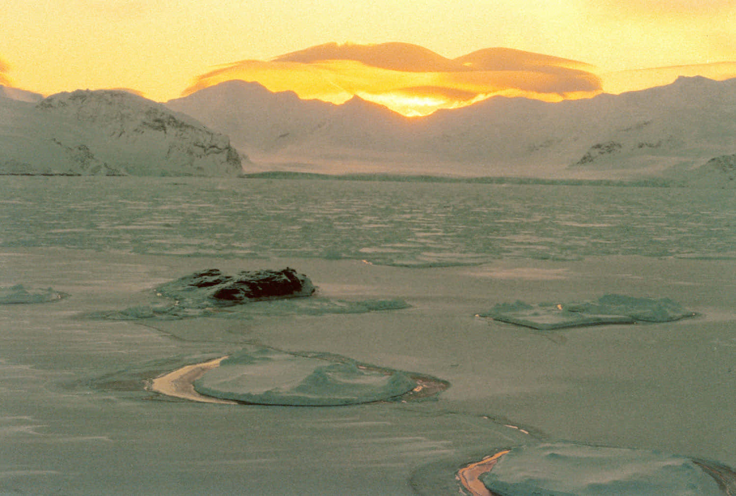 Eisbergeam Rand Des Antarktischen Kontinents
