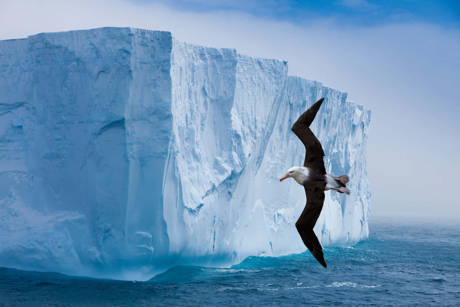 Conquer Antarctica with a journey to its icy realms
