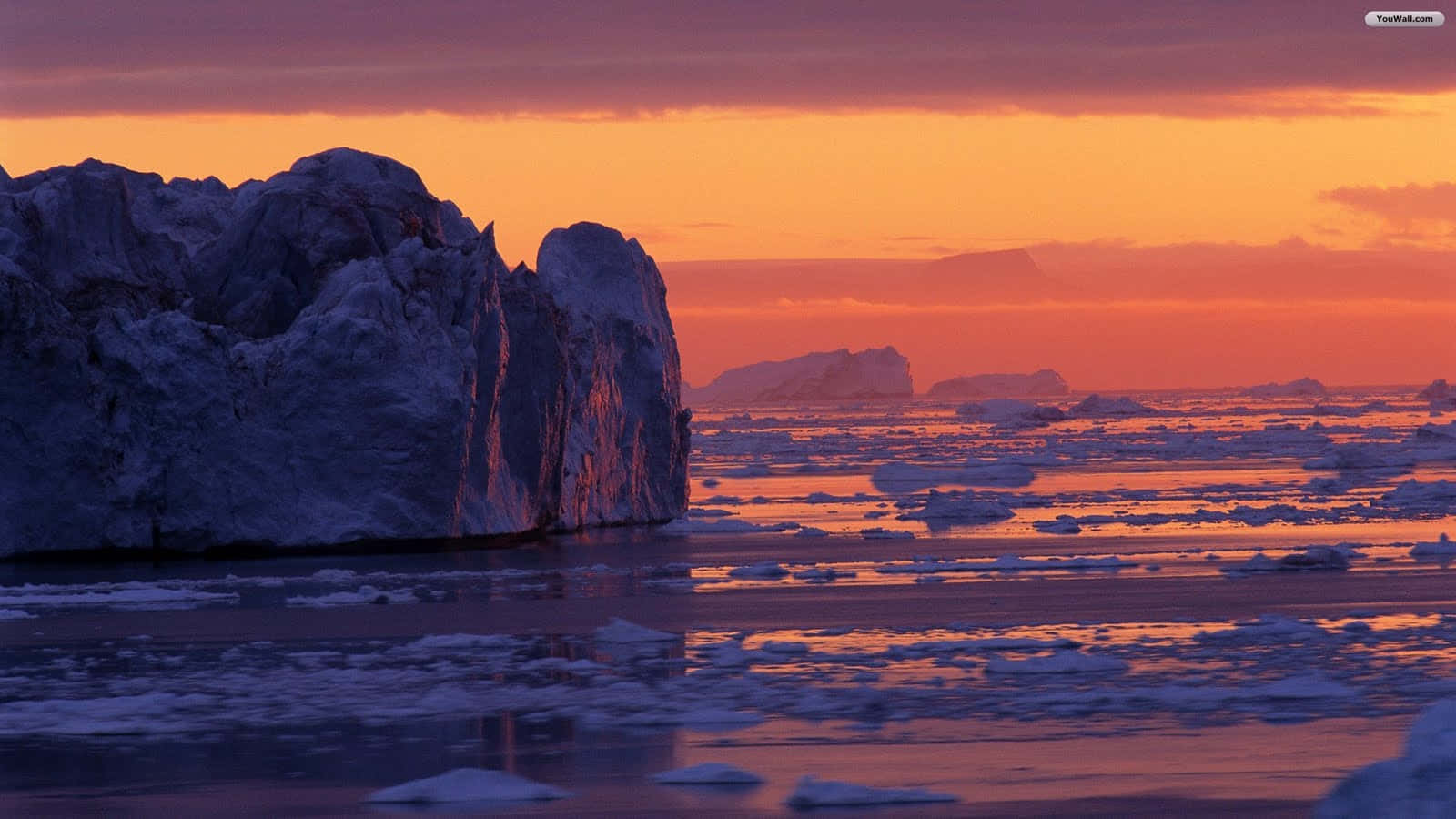 Icebergs amid a snowy Antarctic landscape.