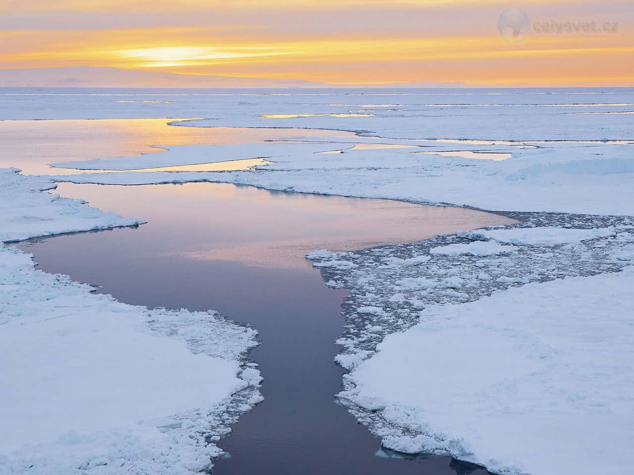 Diemajestätische Schönheit Der Antarktischen Eisberge