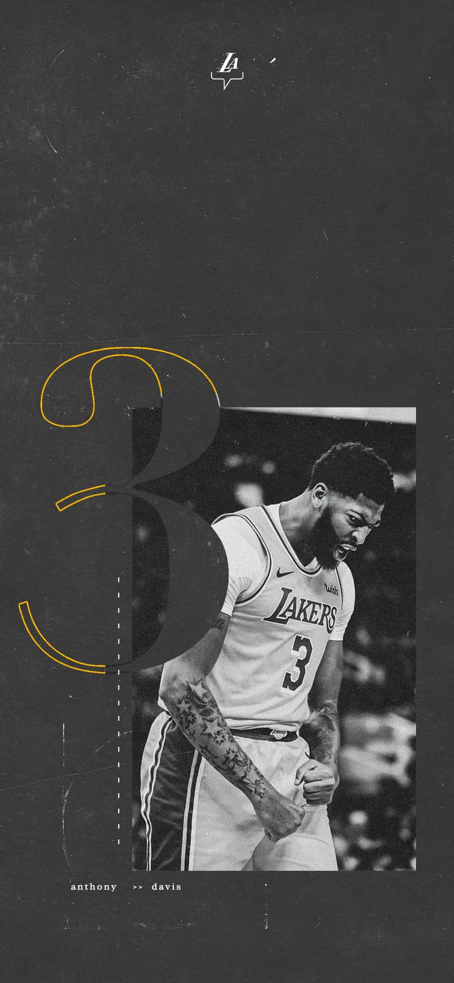 Download Los Angeles Lakers Forward Anthony Davis | Wallpapers.com