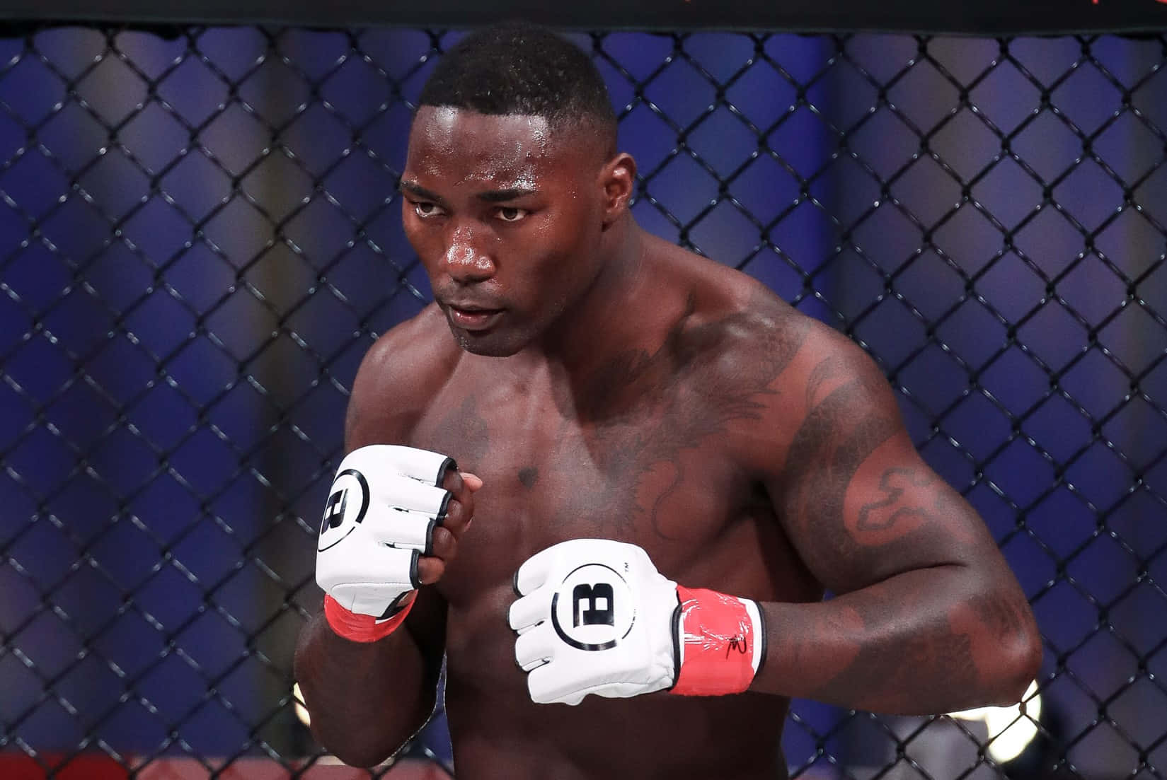 Anthonyjohnson 2021 Bellator Match Would Be Translated To 
