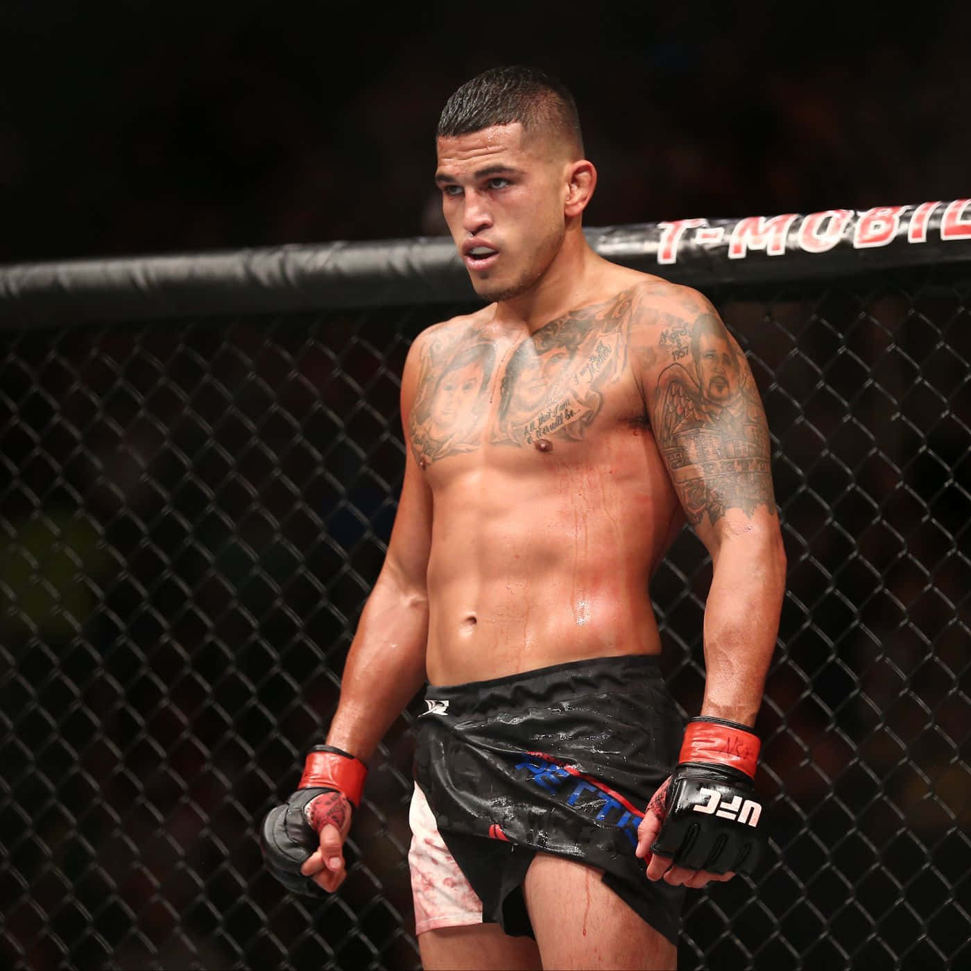 Anthony Pettis Professional Fighters League Wallpaper