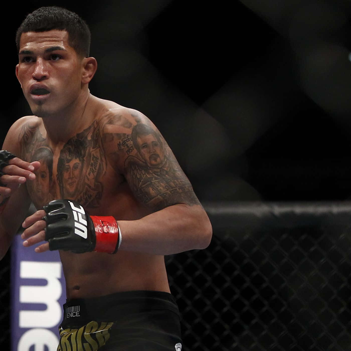 Anthony Pettis Ultimate Fighting Championship Wallpaper