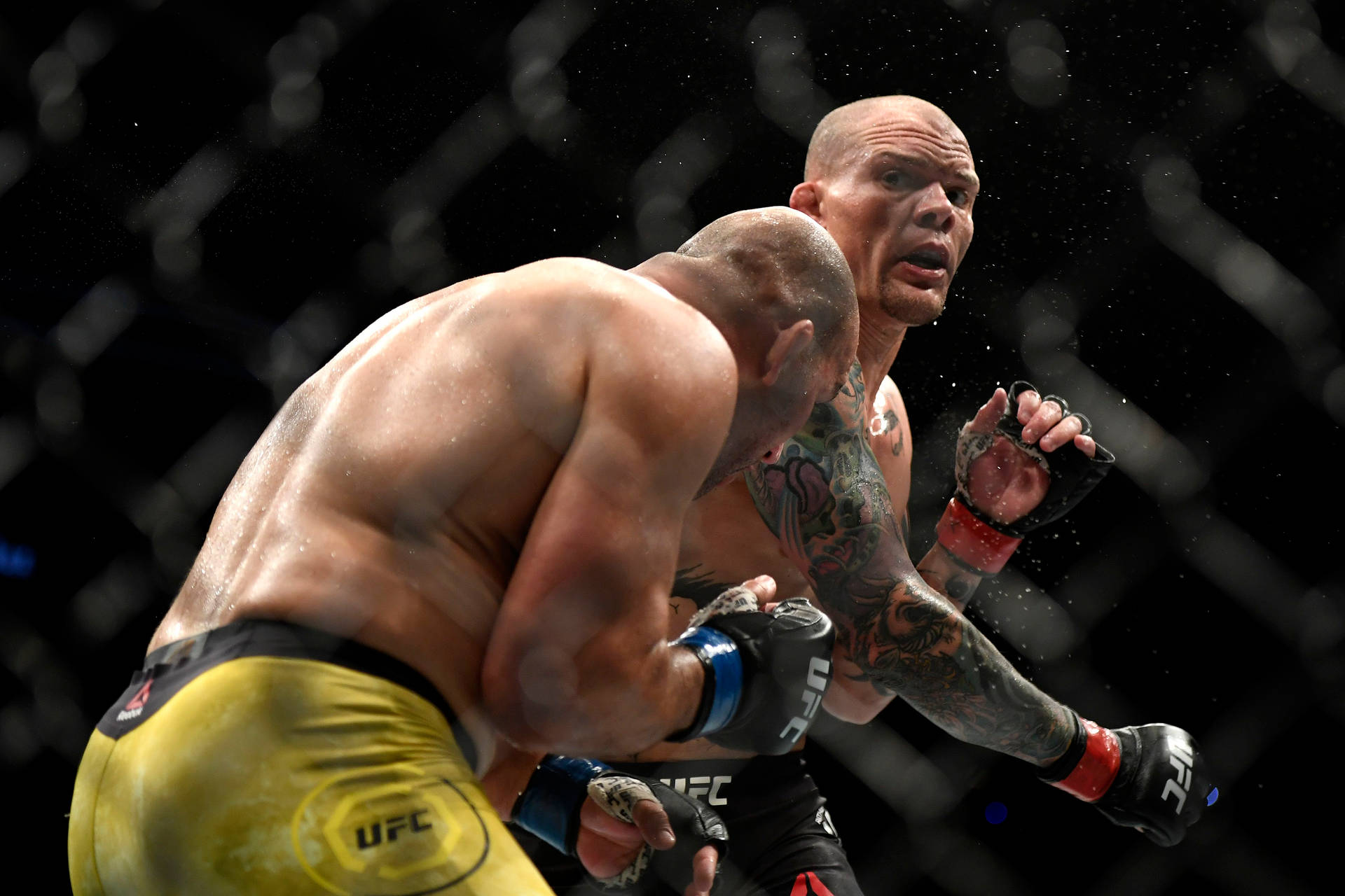Anthony Smith Punching Wallpaper