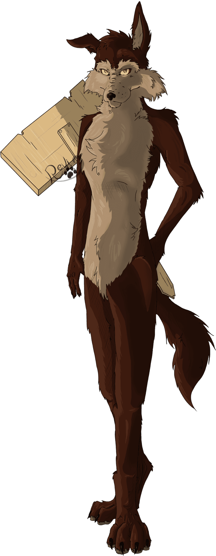 Anthropomorphic Coyote Carrying Box PNG