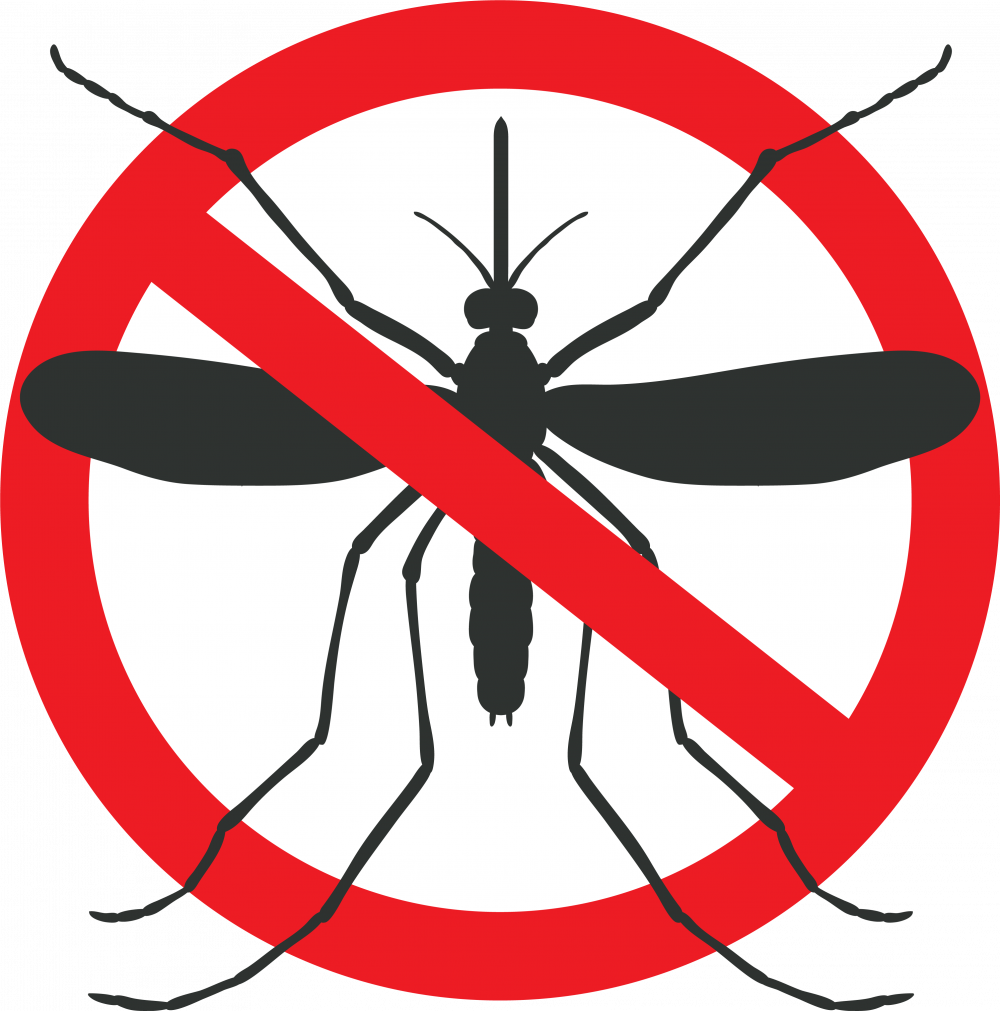 Download Anti Mosquito Sign Graphic | Wallpapers.com