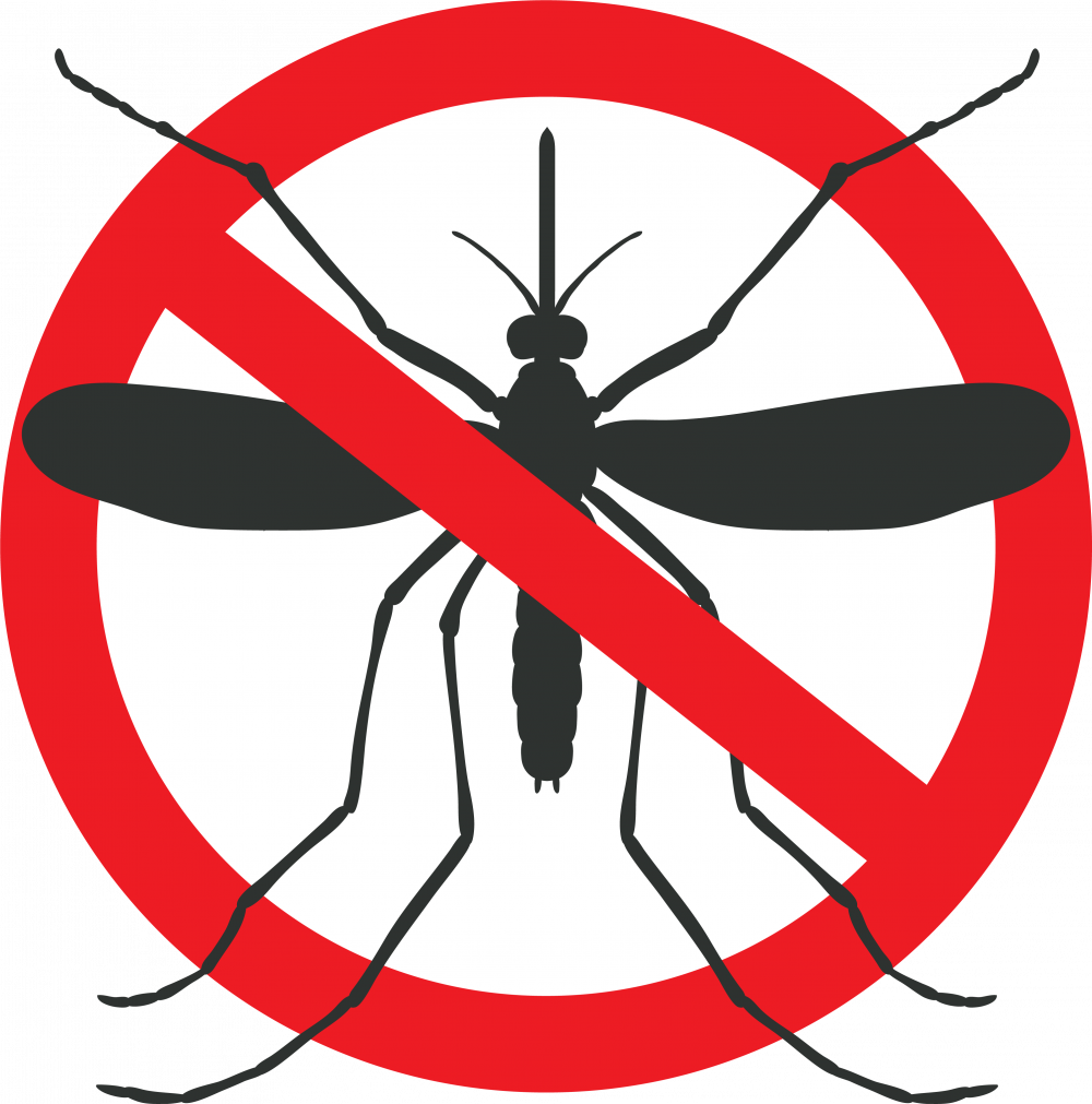 Anti Mosquito Sign Graphic PNG