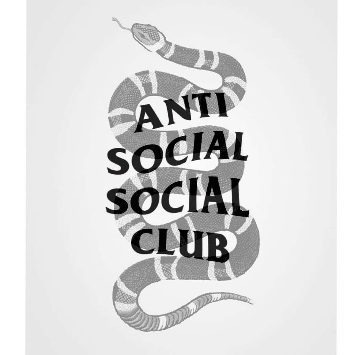 Snake On Anti Social Club Iphone Wallpaper