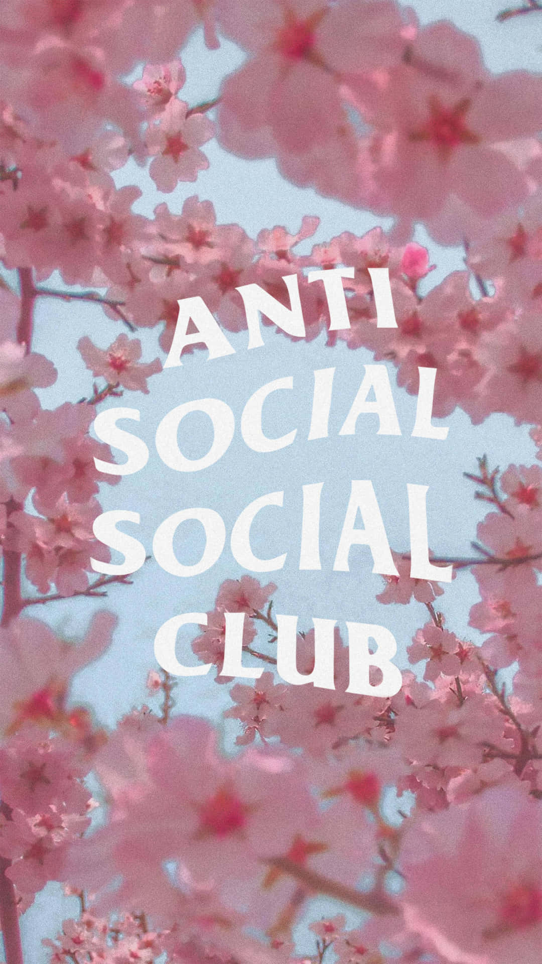 Ciliegiin Fiore Con Il Logo Anti Social Club Per Iphone Sfondo