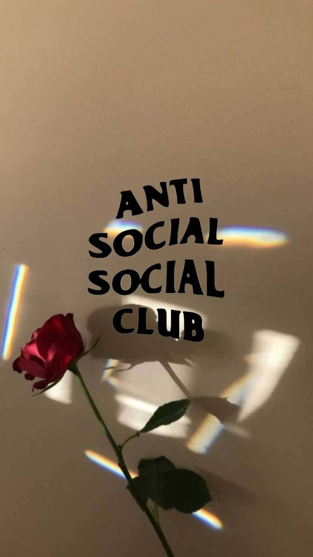 Papelde Parede Para Iphone Com Rosa Vermelha E Anti Social Club. Papel de Parede