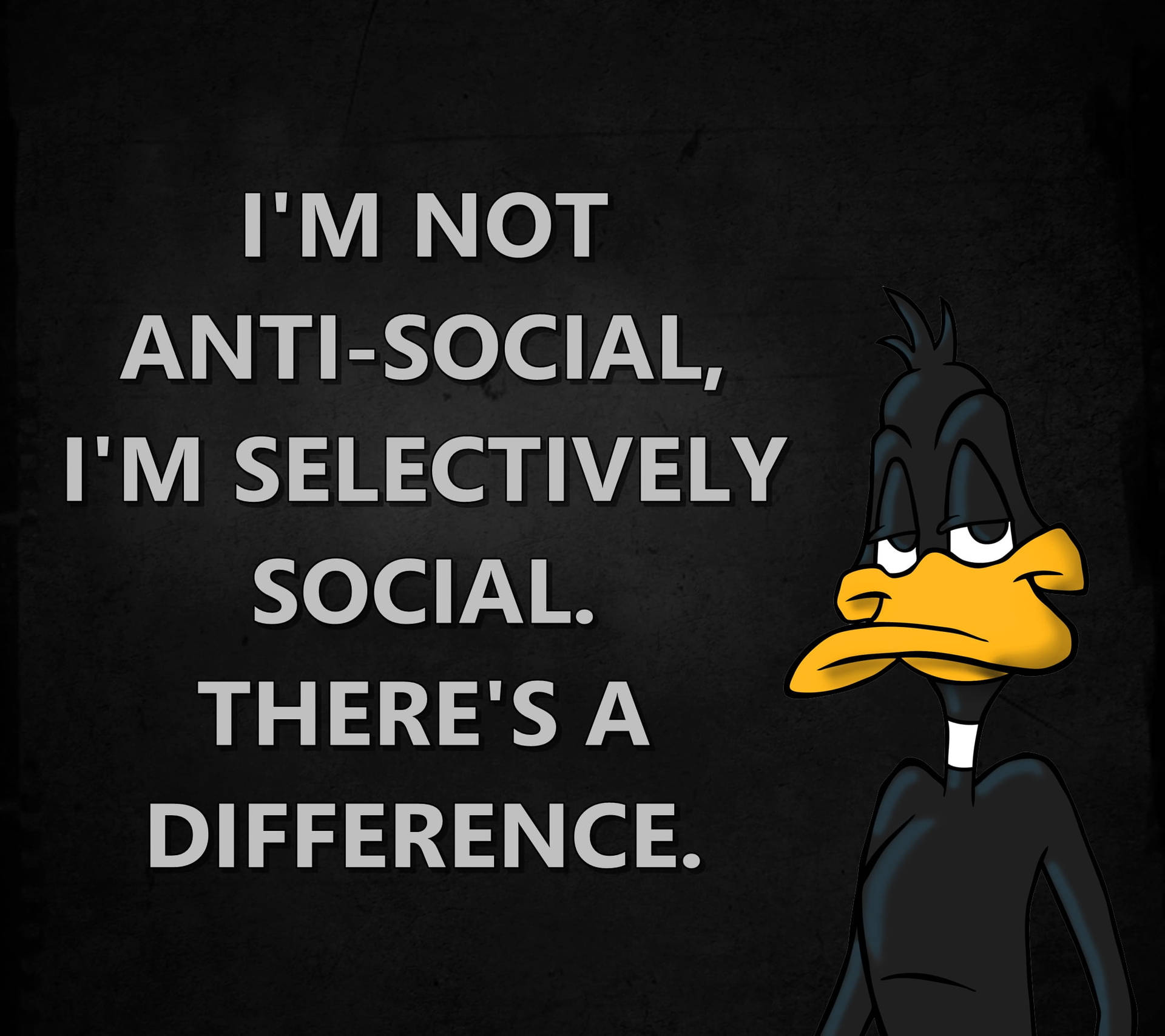 Anti Social Daffy Duck