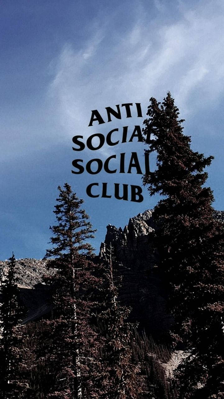 Anti Social Social Club Pine Trees Wallpaper
